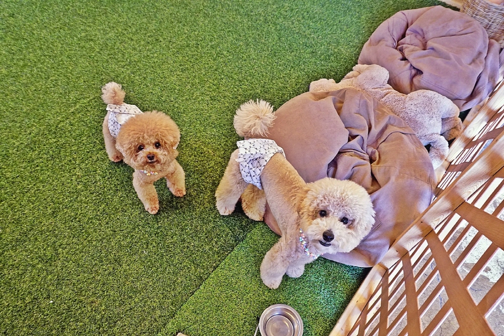 e2e4a8fa9b9ded6dba1559f29634296c_1762532238_29.jpg e2e4a8fa9b9ded6dba1559f29634296c_1762532238_29.jpg