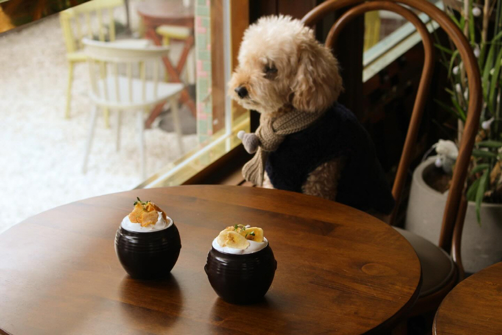 e2e4a8fa9b9ded6dba1559f29634296c_1762535554_81.jpg e2e4a8fa9b9ded6dba1559f29634296c_1762535554_81.jpg