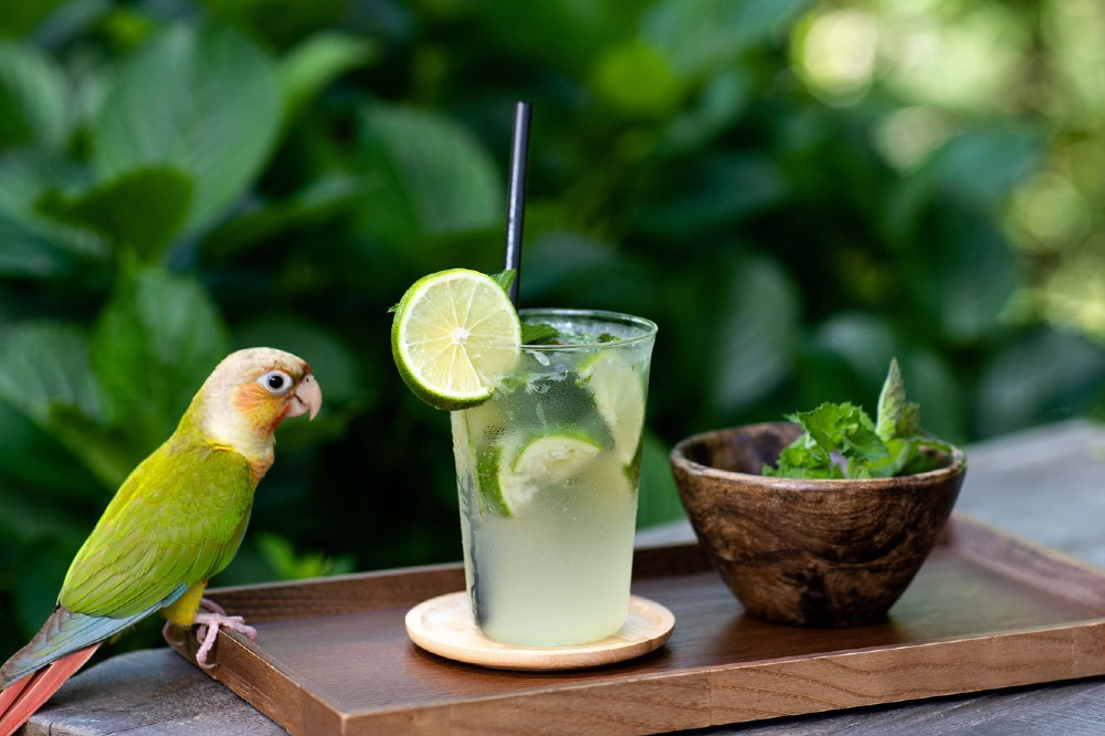 e2e4a8fa9b9ded6dba1559f29634296c_1762540117_49.jpg e2e4a8fa9b9ded6dba1559f29634296c_1762540117_49.jpg