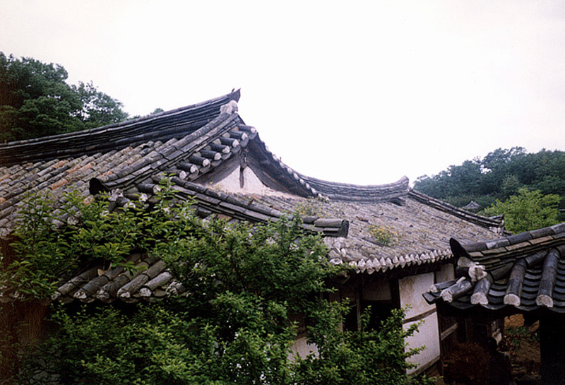 e4d582cae60f159ec708309fab3d6b94_1763412423_16.jpg e4d582cae60f159ec708309fab3d6b94_1763412423_16.jpg