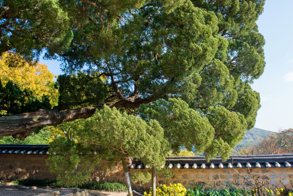 e4d582cae60f159ec708309fab3d6b94_1763413487_66.jpg e4d582cae60f159ec708309fab3d6b94_1763413487_66.jpg