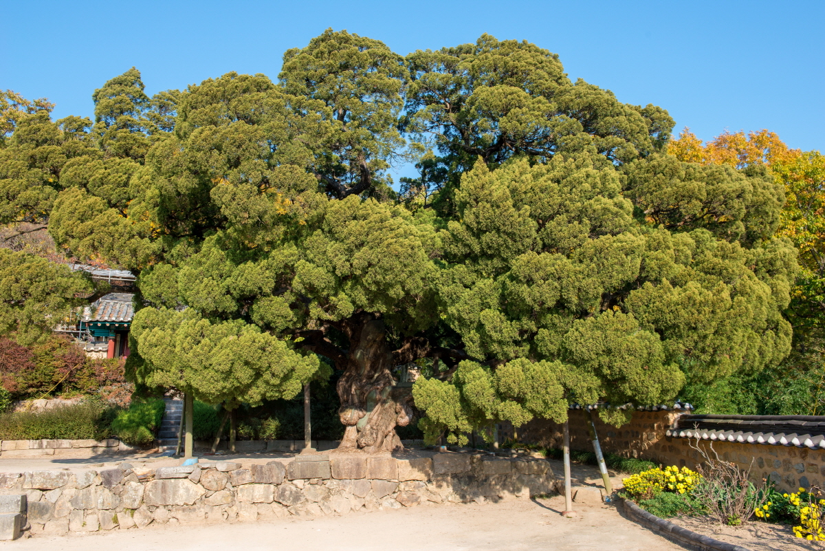 e4d582cae60f159ec708309fab3d6b94_1763413488_97.jpg e4d582cae60f159ec708309fab3d6b94_1763413488_97.jpg