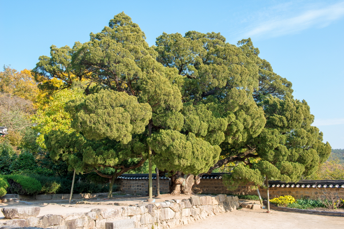 e4d582cae60f159ec708309fab3d6b94_1763413489_21.jpg e4d582cae60f159ec708309fab3d6b94_1763413489_21.jpg