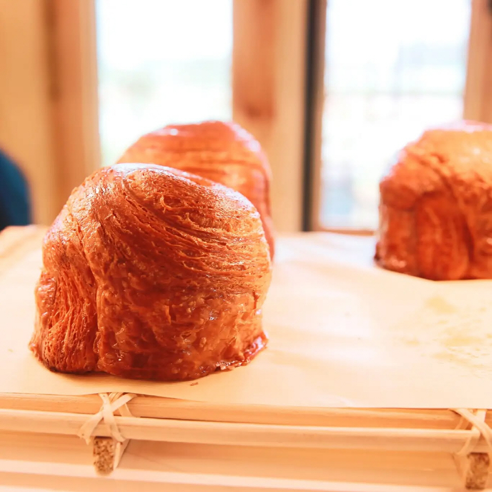 fa558f0a71e4cb6d76cdc5c1669e33e1_1762406635_32.jpg fa558f0a71e4cb6d76cdc5c1669e33e1_1762406635_32.jpg