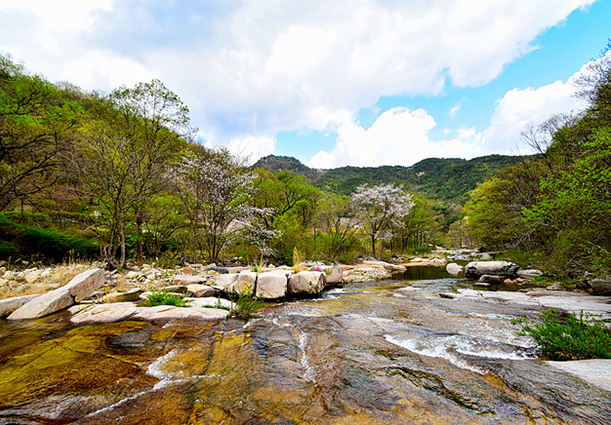 fe6db1b385fbdc872dab08ad519a90ab_1762190995_44.jpg fe6db1b385fbdc872dab08ad519a90ab_1762190995_44.jpg