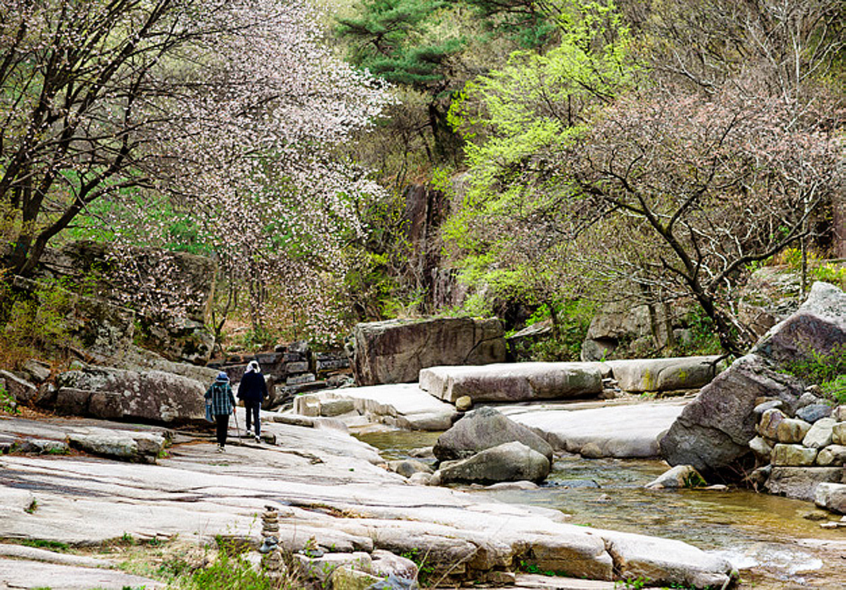 fe6db1b385fbdc872dab08ad519a90ab_1762190995_66.jpg fe6db1b385fbdc872dab08ad519a90ab_1762190995_66.jpg