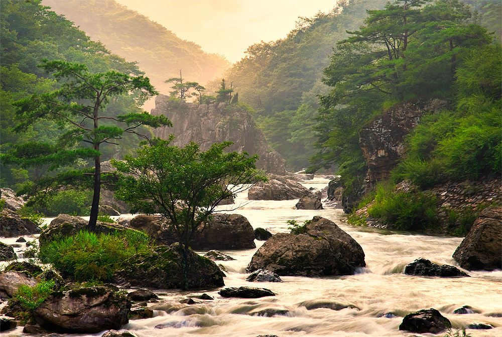 fe6db1b385fbdc872dab08ad519a90ab_1762191337_64.jpg fe6db1b385fbdc872dab08ad519a90ab_1762191337_64.jpg