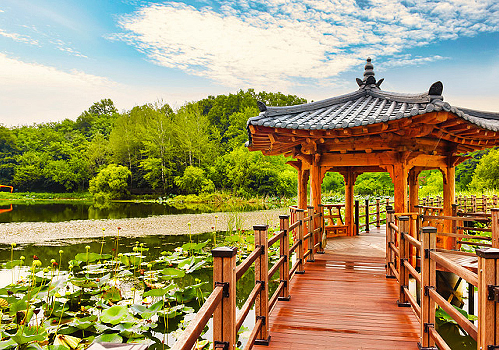 fe6db1b385fbdc872dab08ad519a90ab_1762193894_85.jpg fe6db1b385fbdc872dab08ad519a90ab_1762193894_85.jpg