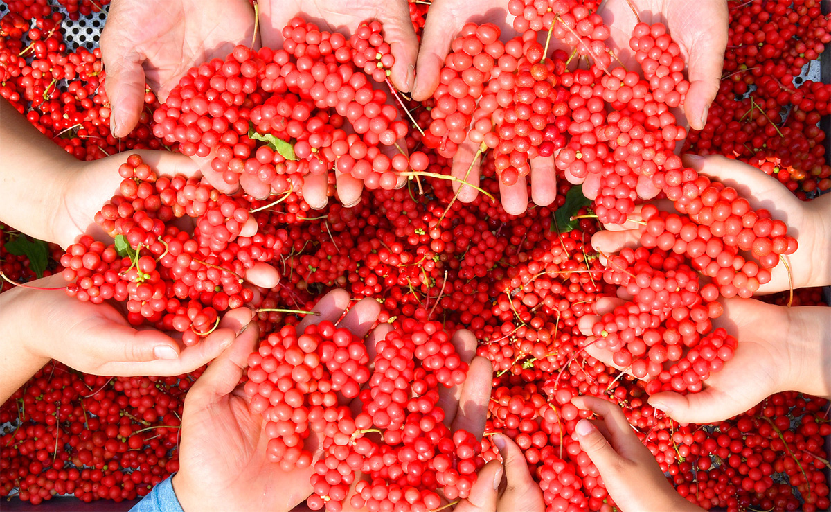 fe6db1b385fbdc872dab08ad519a90ab_1762201324_84.jpg fe6db1b385fbdc872dab08ad519a90ab_1762201324_84.jpg