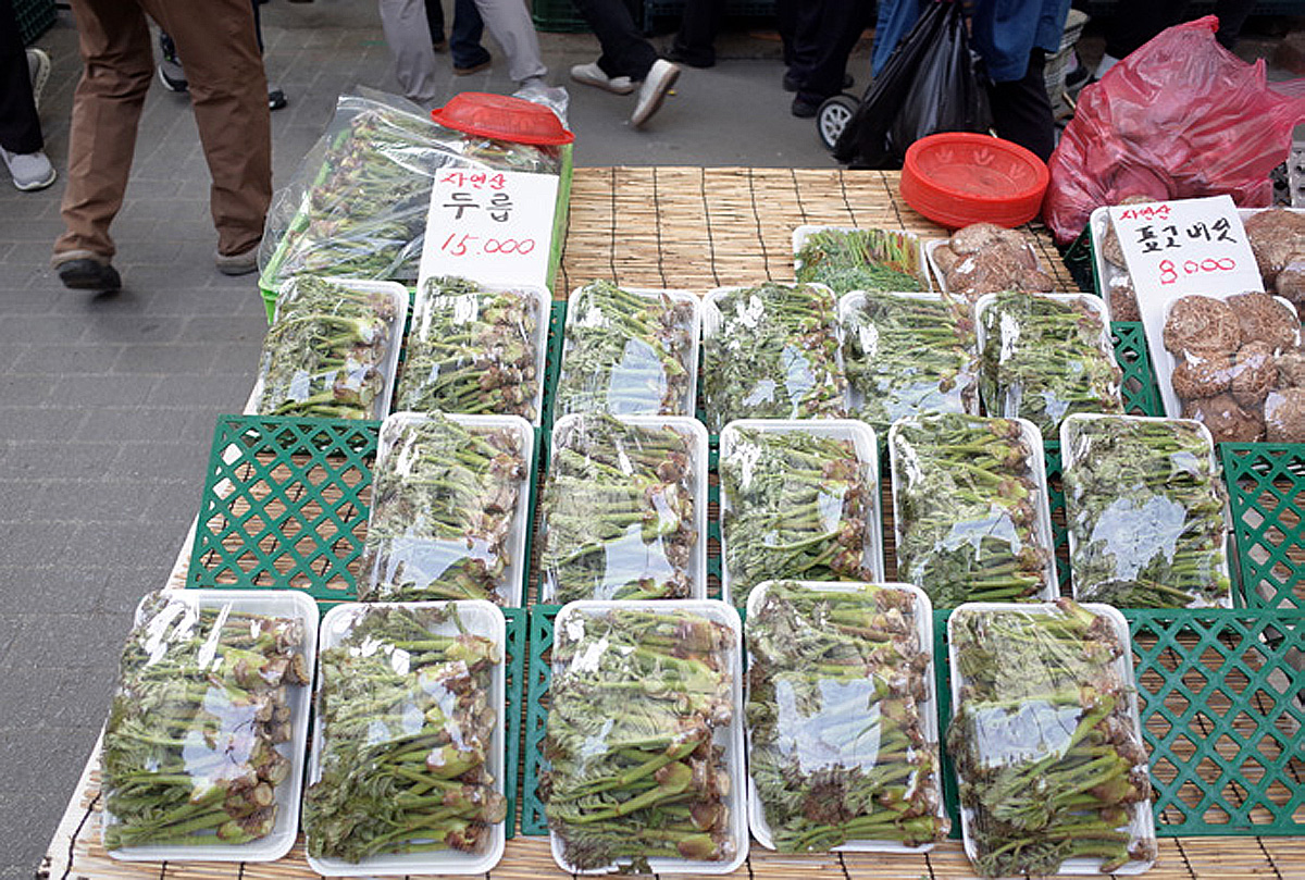 fe6db1b385fbdc872dab08ad519a90ab_1762211063.jpg fe6db1b385fbdc872dab08ad519a90ab_1762211063.jpg