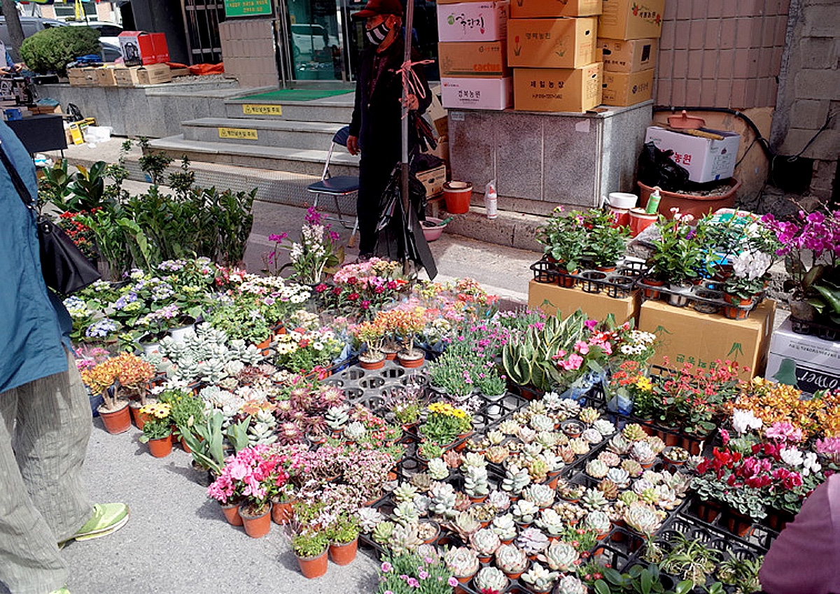 fe6db1b385fbdc872dab08ad519a90ab_1762211063_33.jpg fe6db1b385fbdc872dab08ad519a90ab_1762211063_33.jpg