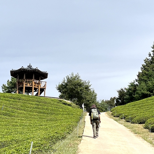 지리산둘레길 구간 [하동]원부춘-가탄