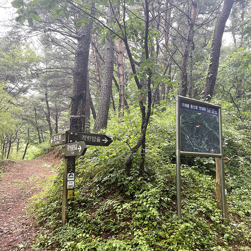 지리산둘레길 구간 [하동]하동읍-서당