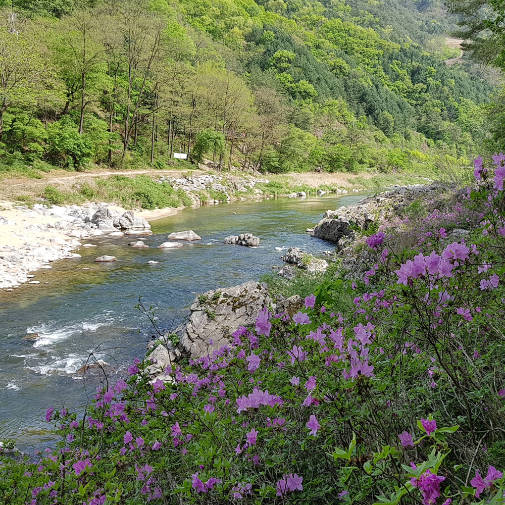 약수숲길