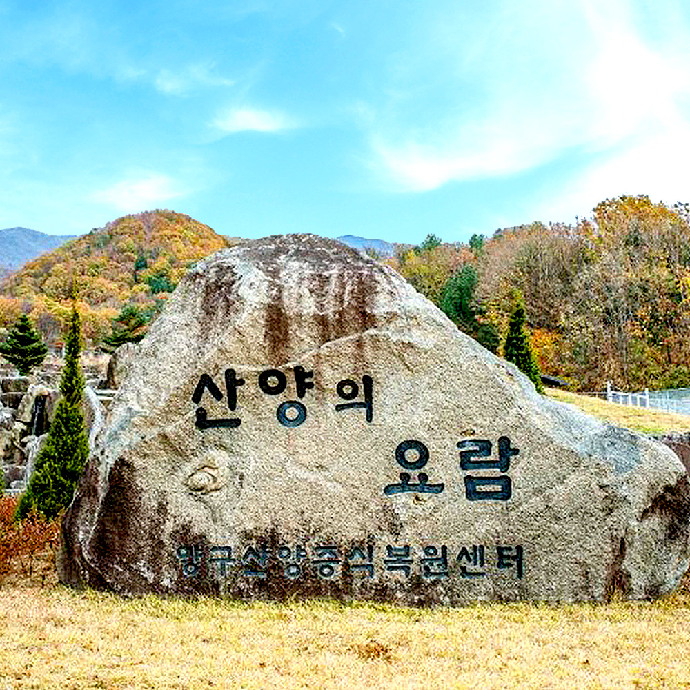 산양사향노루증식복원센터