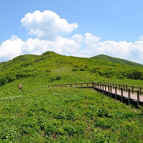 곰배령