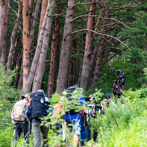 바우길 3구간 어명을 받은 소나무길 11.7km 4∼5시간