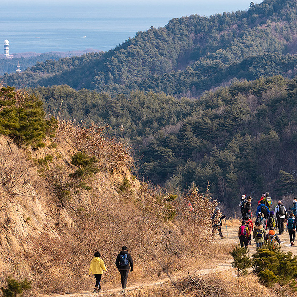 바우길 4구간 사천둑방길 15.7km 5~6시간