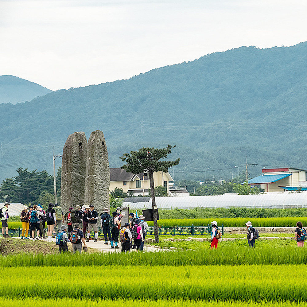 바우길 7구간 풍호연가 15.7km 5~6시간