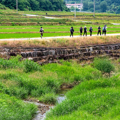 바우길 15구간 강릉수목원가는길 17.2km 6~7시간