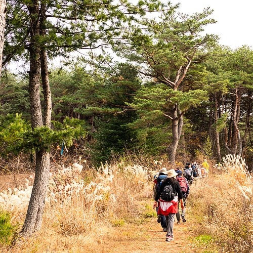 올림픽아리바우길 9구간 바우길11구간 16.3Km 6시간