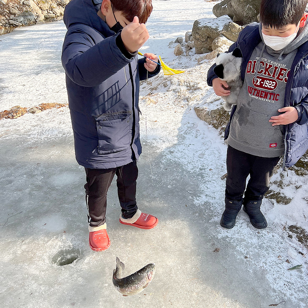 용골송어얼음낚시