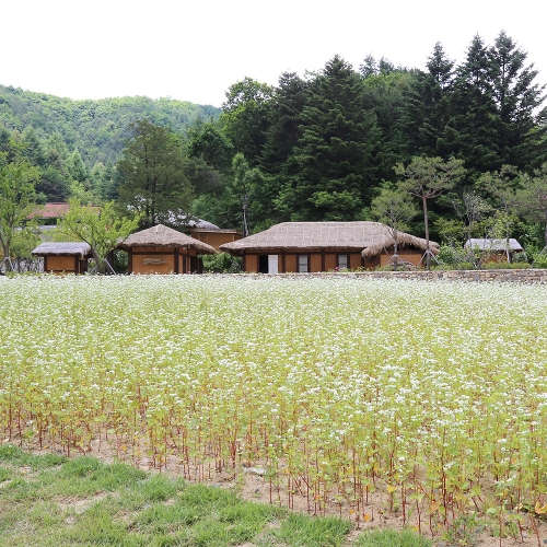 효석달빛언덕