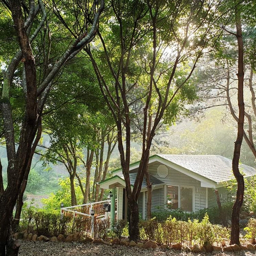 평창다온숲펜션