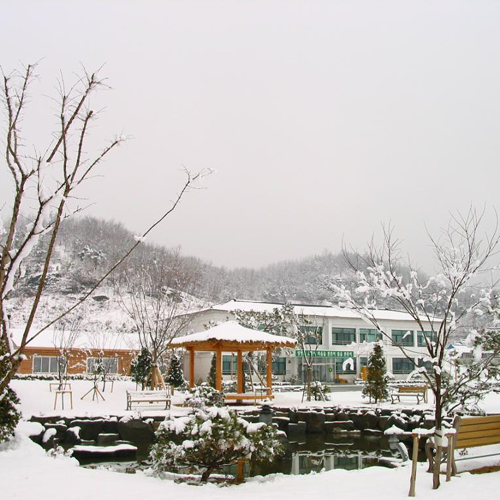 교촌농촌체험마을