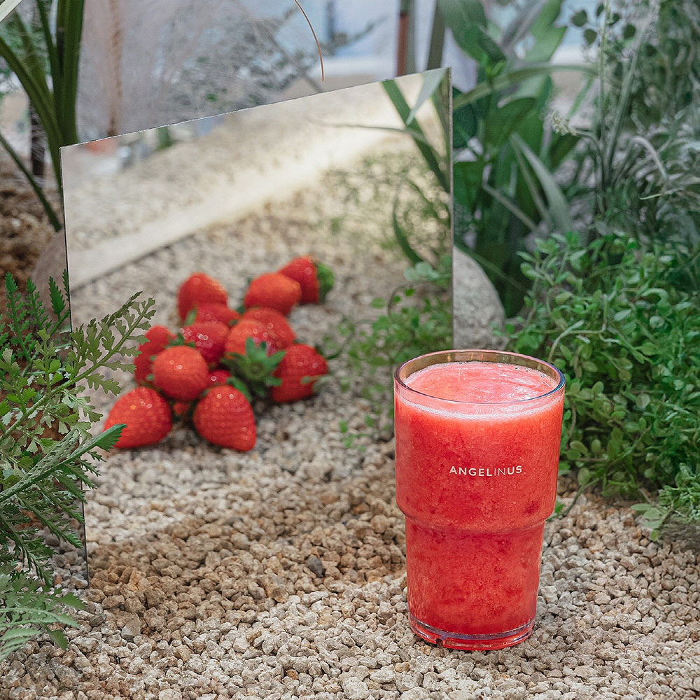 엔제리너스 ANGELINUS