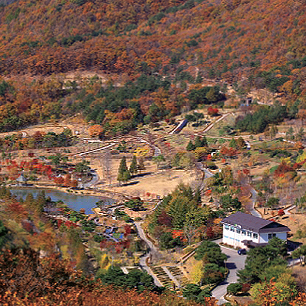 포항7경 경상북도수목원 사계