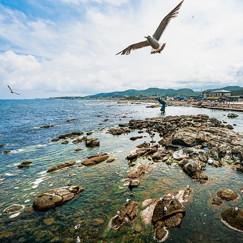 호미곶해안단구