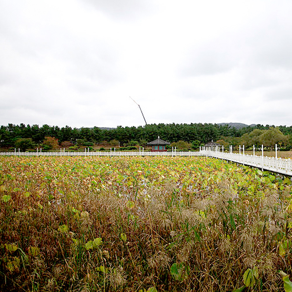 일월지 연오랑세오녀