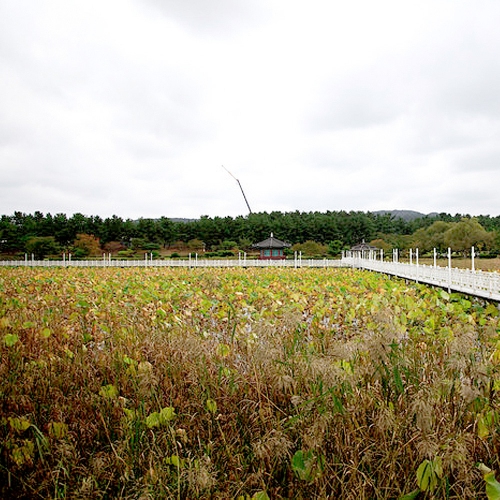 일월지 연오랑세오녀