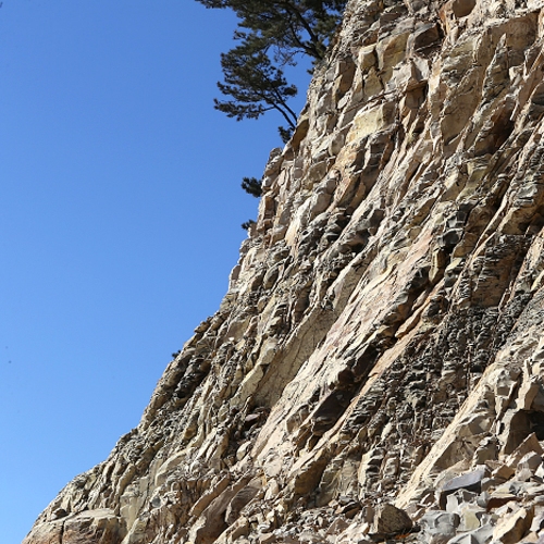 두호동화석산지