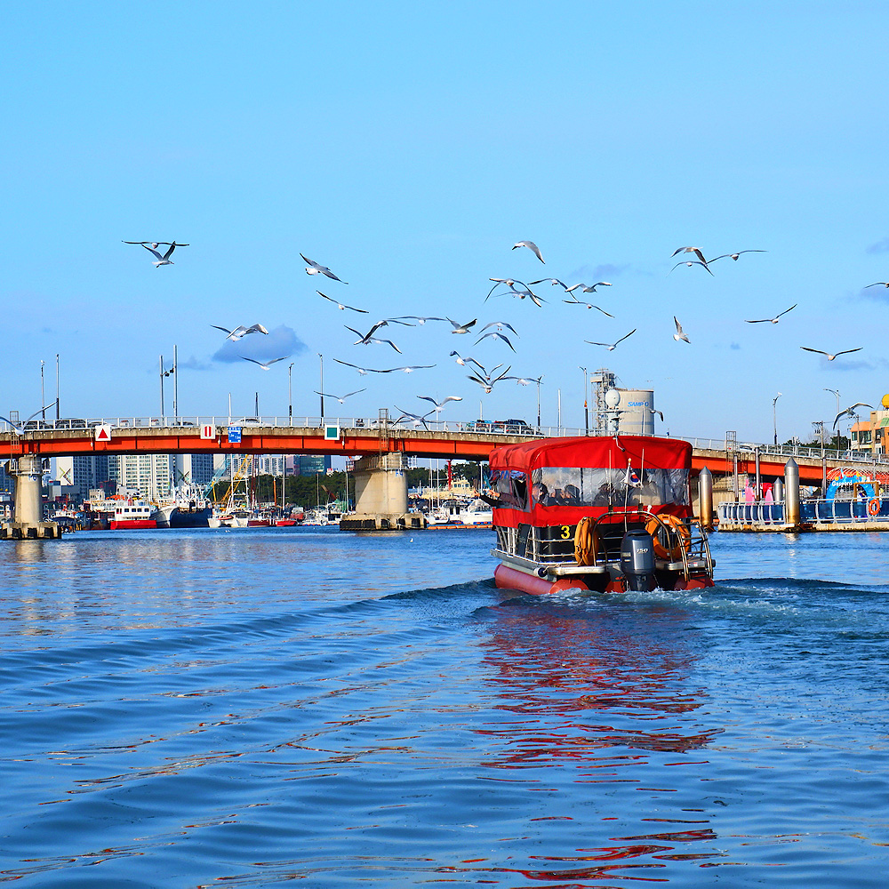 포항크루즈 포항운하관