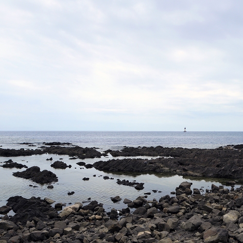 구룡포주상절리