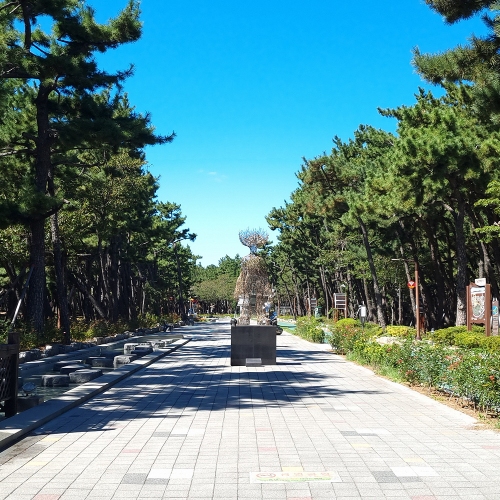 송도솔밭도시숲