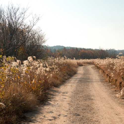 인덕산자연마당