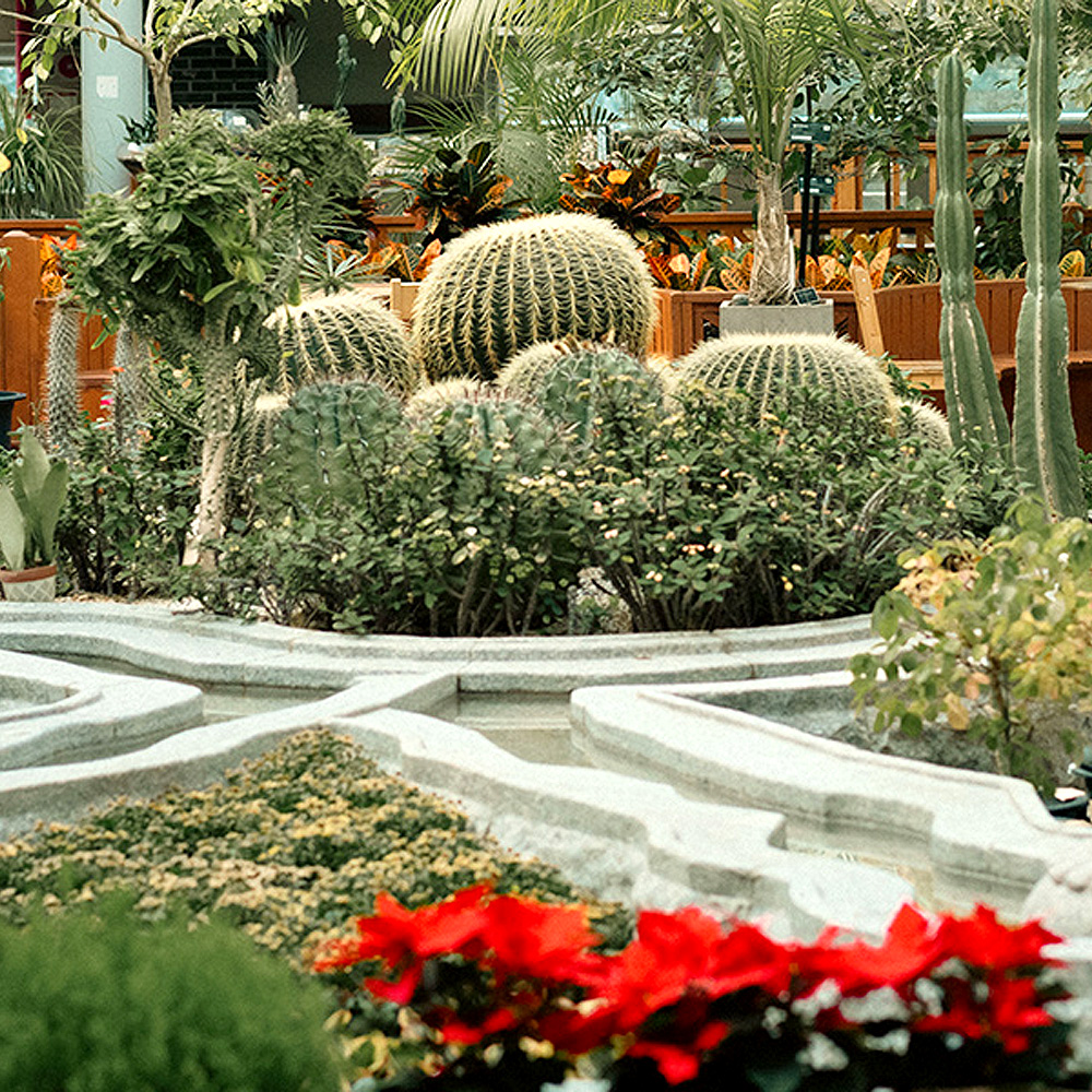 포항시산림조합숲마을