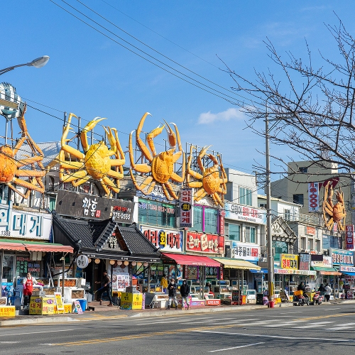 구룡포과메기물회거리