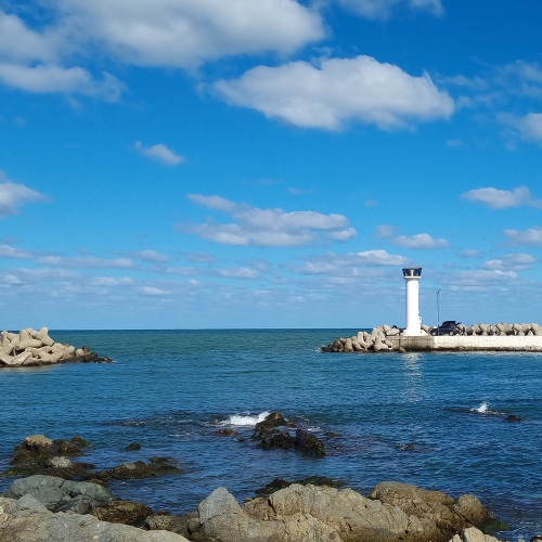 다무포하얀마을