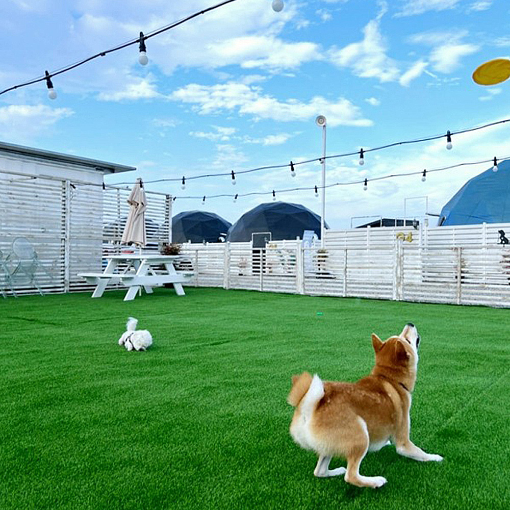 펫글램핑&풀글램핑