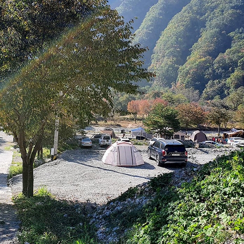 에코팡팡캠핑장&펜션