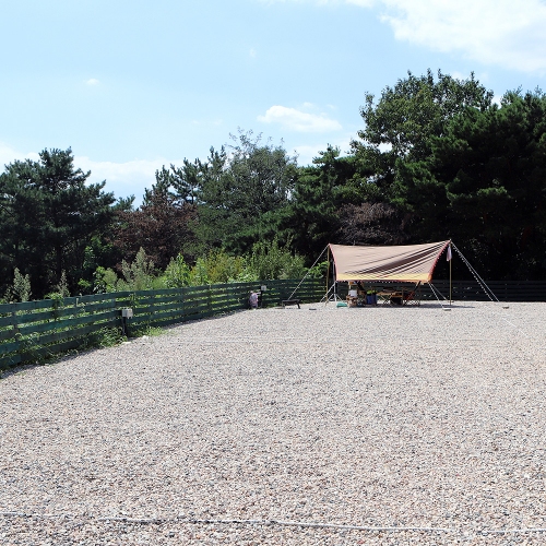 비손농원야영장