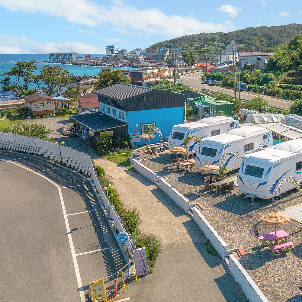 푸른고래카라반