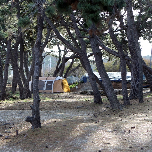 그린오토캠핑장