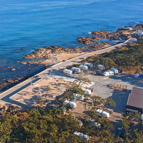 유니의바다카라반 호미곶점