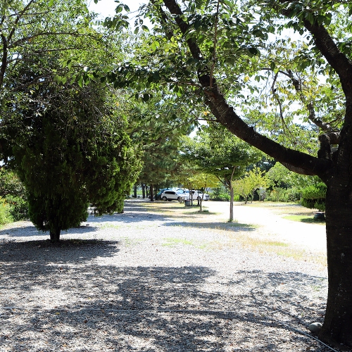 내연산늘푸른캠핑장