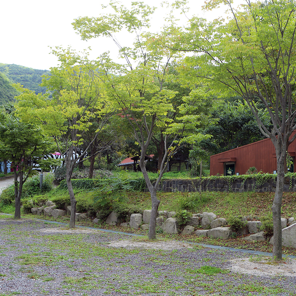 비학산자연휴양림야영장